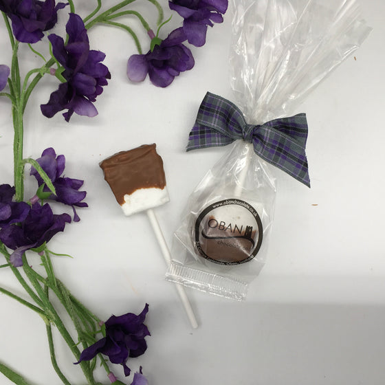 Homemade Chocolate Marshmallow favour